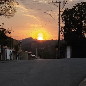 Campos