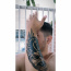 Foto do perfil de Gustavo