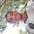 Foto do perfil de Rodrigo Claudino Claro