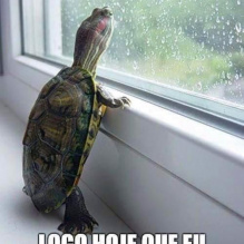 Jubileu