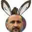 Foto do perfil de Asno