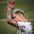 Foto do perfil de Lucas Guedes
