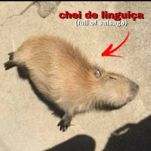 Jo�o