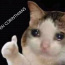 Foto do perfil de Fui