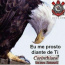 Foto do perfil de Gustavo