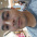 Dami�o