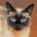 Gato