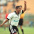 Matheus