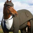 Avatar de Samir Cavalo