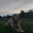Foto do perfil de Cassio