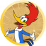 Foto do perfil de Edson