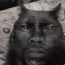 Foto do perfil de An�nimo