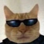 Foto do perfil de Sherlock