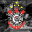 Foto do perfil de M�rcio