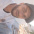 Rodolfo