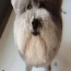 Foto do perfil de 123
