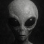 Avatar de Alien X