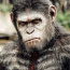 Foto do perfil de Caesar