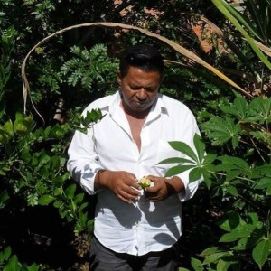 Dino Gera