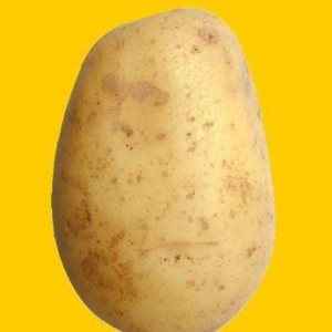 Cita��es de Uma