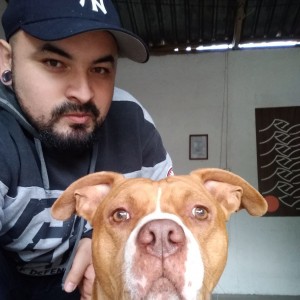 Elvis