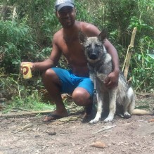 Joedson