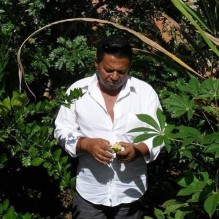 Dino Gera