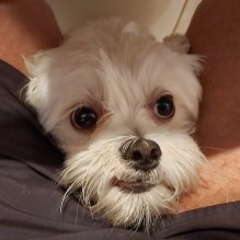 Rodrigo