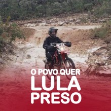 Pedro