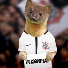 Pedro
