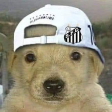 Filype