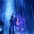 Andr�