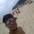 Foto do perfil de Jefferson Souza