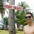 Andr�
