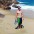 Andr�