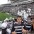 Foto do perfil de Rapha Viana