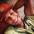 Otavio