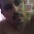 Foto do perfil de Jos� Edson