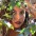Foto do perfil de Vanessa Rodrigues