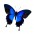 Vit�ria