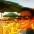 Evandro