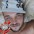 Foto do perfil de Fernando Fantim
