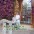 Jos� Antonio