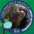 Foto do perfil de Cleusa Bispo