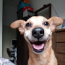 Foto do perfil de Junior