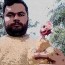Foto do perfil de Henrique