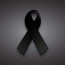 Foto do perfil de �lef
