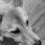 Foto do perfil de Bruno
