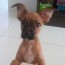 Avatar de Tereza Ruiz