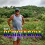 Foto do perfil de Nilton
